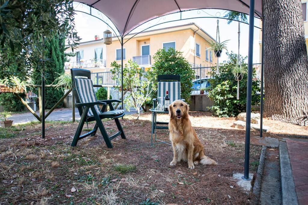 Easy Florence สกันดิชชี ภายนอก รูปภาพ